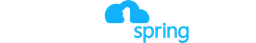 LicenseSpring