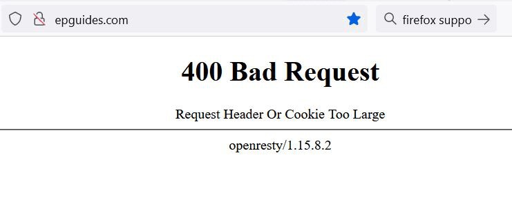 400 error message on Mozilla