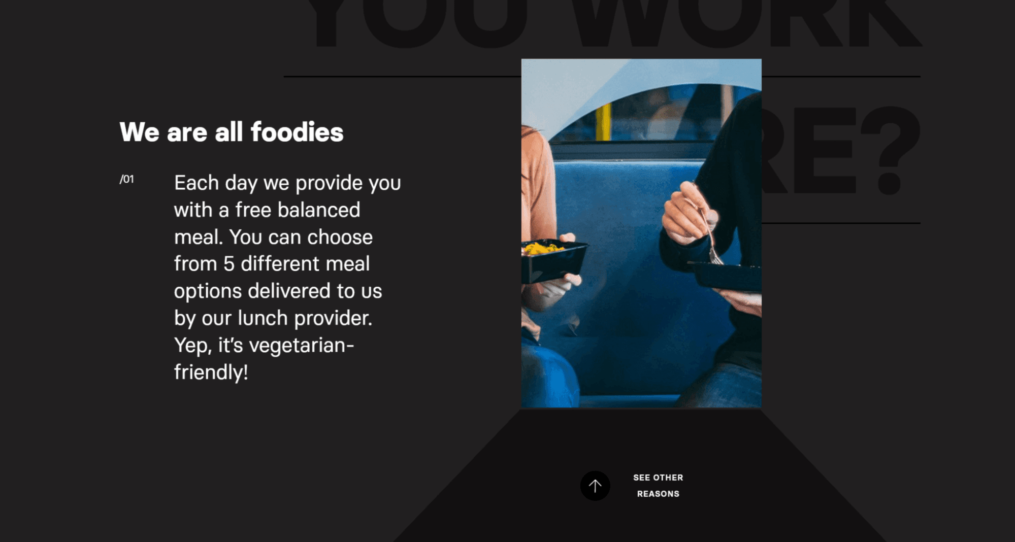 Food options by Nanobit